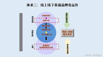 打造品牌核心竞争力 品牌管理三步五体系实战指南